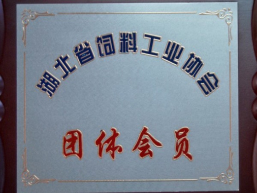 湖北省工業(yè)協(xié)會團(tuán)體會員.jpg